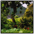Marquesas Islands